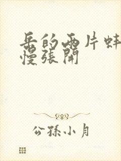 岳的两片蚌肉慢慢张开