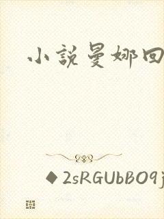 小说曼娜回忆录