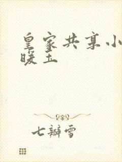 皇家共享小公主暖玉