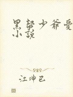 黑帮少爷爱上我小说封面