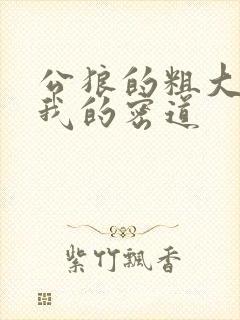 公狼的粗大挺进我的密道