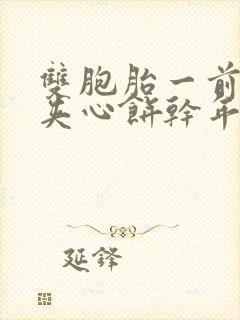 双胞胎一前一后夹心饼干年下