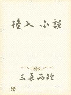 后入 小说