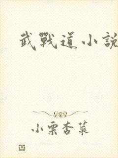 武战道小说