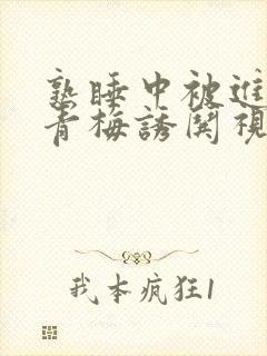 熟睡中被进了H青梅诱哄视频