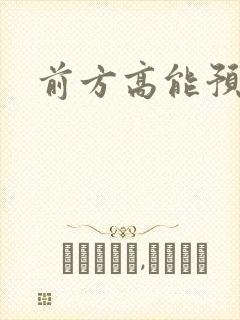 前方高能预警封面