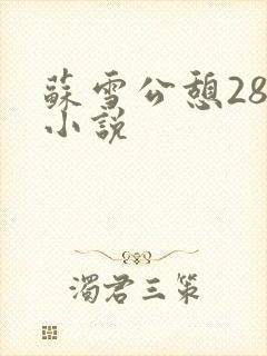 苏雪公憩28篇小说