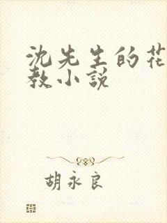 沈先生的花式调教小说