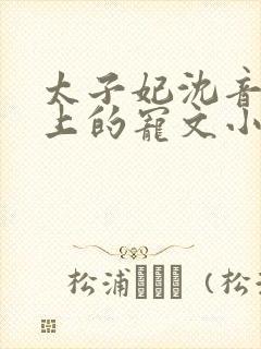 太子妃沈音和皇上的宠文小说