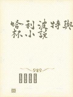 哈利波特与火焰杯小说