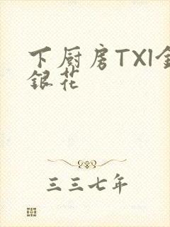 下厨房TXl金银花