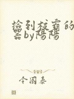 捡到校霸的遥控器by阳阳