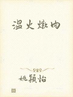温火炖肉