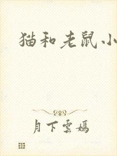 猫和老鼠小说