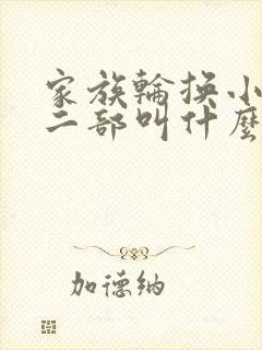 家族轮换小说第二部叫什么名字
