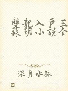 双龙入户三人行苏玥小说全文阅读