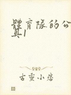 体育队的公用玩具1