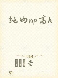 纯肉np高h