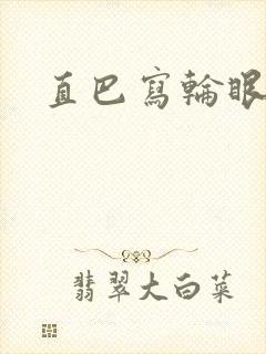 直巴写轮眼封面