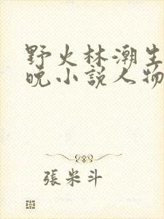 野火林潮生林晚晚小说人物野火