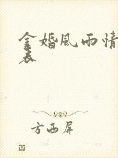 金婚风雨情演员表封面