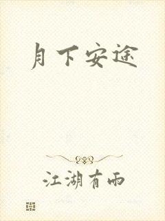 月下安途