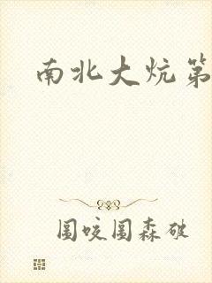 南北大炕第一部