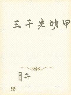 三千光明甲