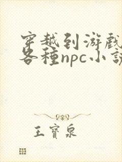 穿越到游戏里和各种npc小说