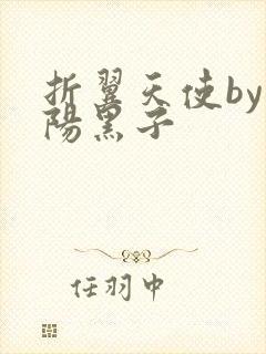 折翼天使by太阳黑子封面