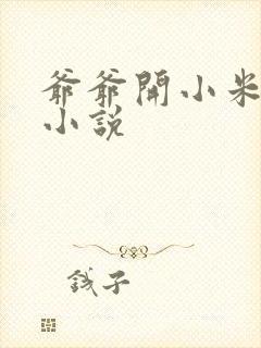爷爷开小米的包小说