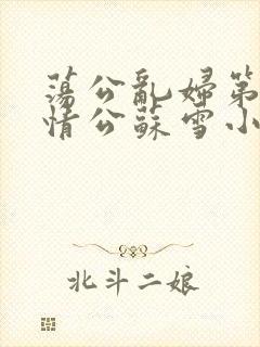 荡公乱妇第1章情公苏雪小说