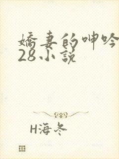 娇妻的呻吟1—28小说