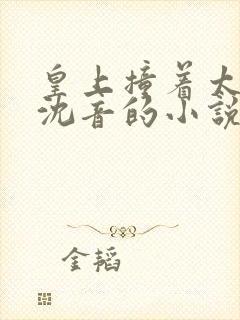 皇上撞着太子妃沈音的小说叫什么