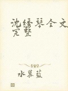 沈绣琴全文阅读完整