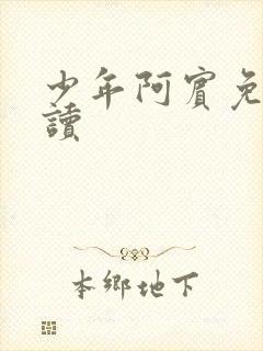 少年阿宾免费阅读