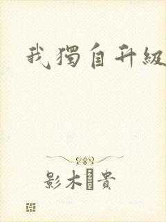 我独自升级小说