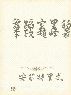 舞蹈室里的景色李欣赵峰最新章节