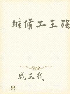 维修工王强张婷