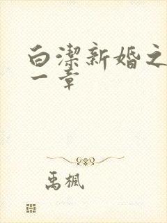 白洁新婚之夜第一章
