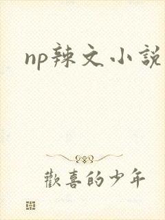 np辣文小说