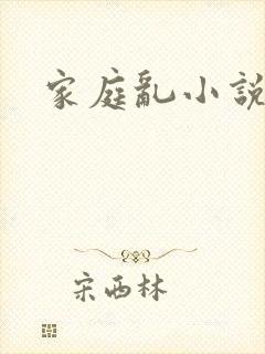 家庭乱小说