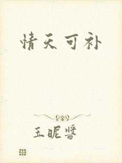 情天可补