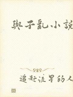 与子乱小说