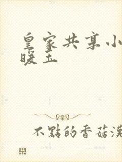 皇家共享小公主暖玉