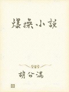 爆操小说