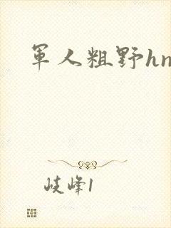 军人粗野hnp封面