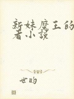 新妹魔王的契约者小说