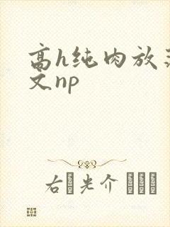高h纯肉放荡h文np