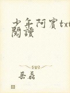 少年阿宾txt阅读